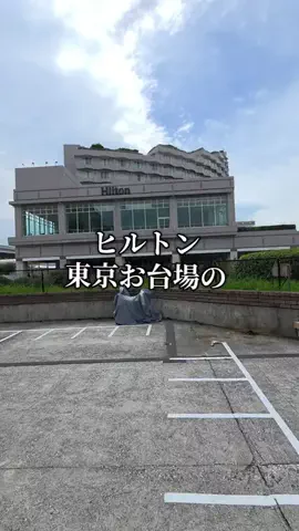 トトのTikTok投稿