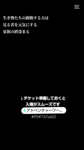 kazamakizunaのTikTok投稿