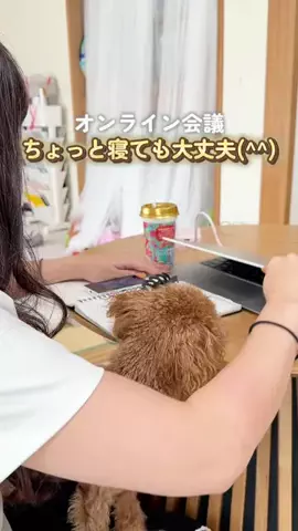 emily__kurashiのTikTok投稿