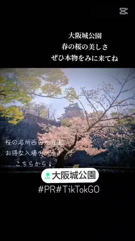 kazamakizunaのTikTok投稿