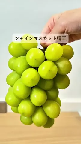 みみのTikTok投稿