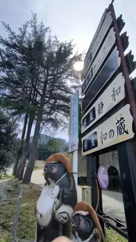 トアンもん　チャンネルのTikTok投稿
