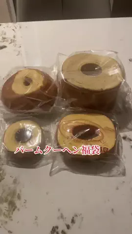ハスの惑星☀️🌙のTikTok投稿