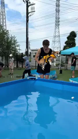 トロンのTikTok投稿
