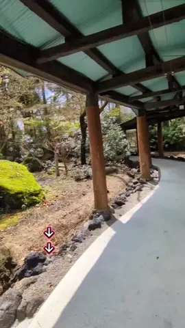 トアンもん　チャンネルのTikTok投稿
