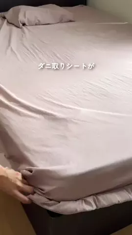 まおぴ|栄養×ラクうま離乳食のTikTok投稿
