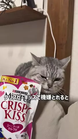 すずちゃんのTikTok投稿