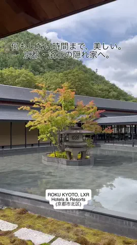 カリスマLIFEのTikTok投稿