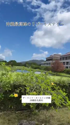 カリスマLIFEのTikTok投稿