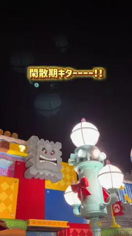 ふわりさんのTikTok投稿