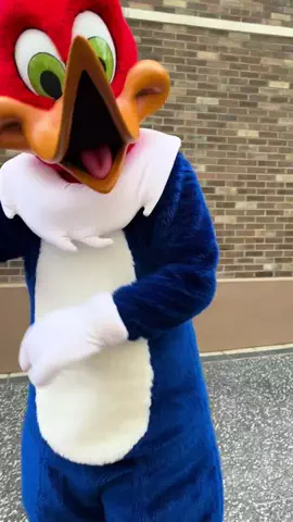 ふわりさんのTikTok投稿