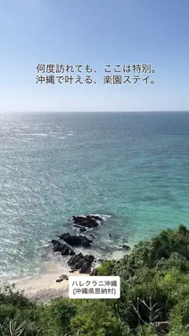 カリスマLIFEのTikTok投稿