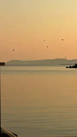 やすのTikTok投稿