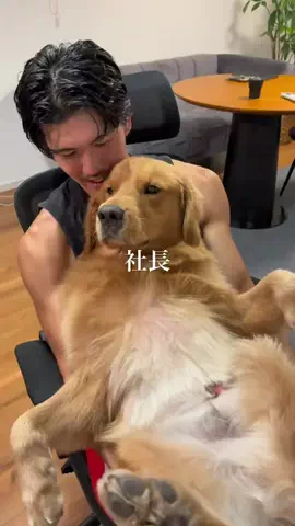 うみまるのBOSSのTikTok投稿