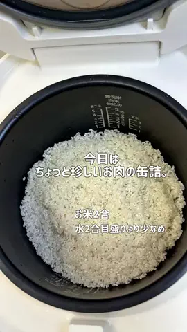 suihanki_bbaのTikTok投稿
