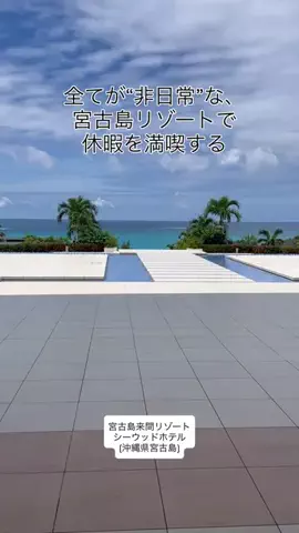 カリスマLIFEのTikTok投稿