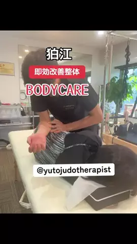 いぬのじかん to kimono着楽のTikTok投稿