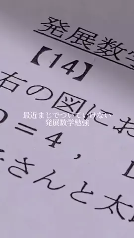 soUのTikTok投稿