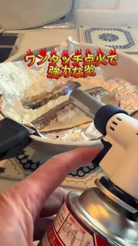 たつみのTikTok投稿