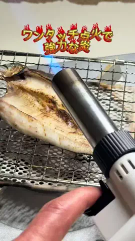 たつみのTikTok投稿