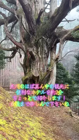 たつみのTikTok投稿