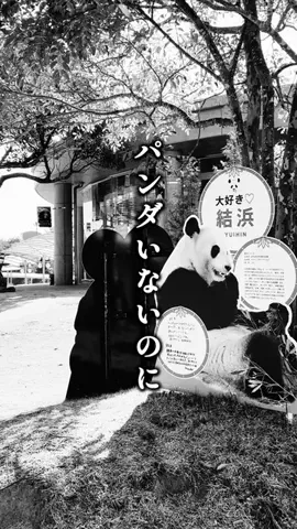 canoco｜ホテル・グルメ・お出かけのTikTok投稿