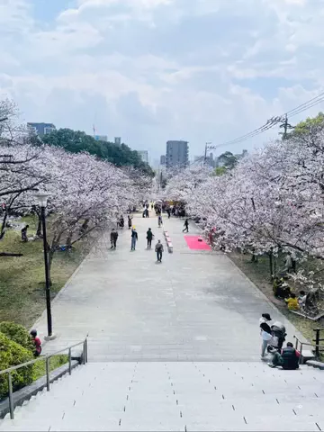 DyharのTikTok投稿