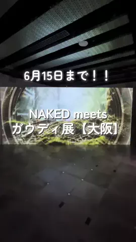 週末の旅たつ♤Ωホテル紹介のTikTok投稿