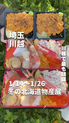 埼玉グルメのTikTok投稿