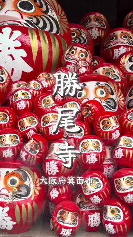 週末の旅たつ♤Ωホテル紹介のTikTok投稿