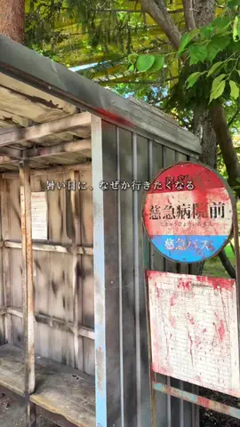 フォーユー｜東京発 ▷イベント・お出かけ・旅行のTikTok投稿