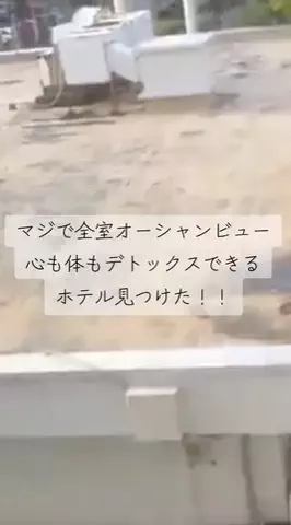 ちゃんたま/プチ贅沢ホテル旅✈️のTikTok投稿