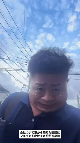 俺の愛犬は社長のTikTok投稿