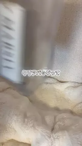 おもちちゃんのTikTok投稿