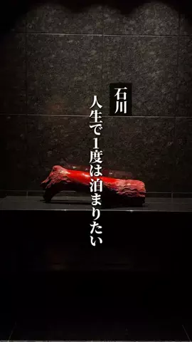 金沢グルメしばちゃんのTikTok投稿