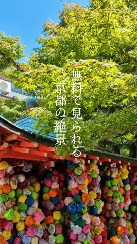 京都コンシェル❀めぐみ❀のTikTok投稿