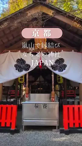 京都コンシェル❀めぐみ❀のTikTok投稿