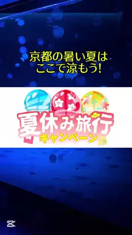 京都コンシェル❀めぐみ❀のTikTok投稿