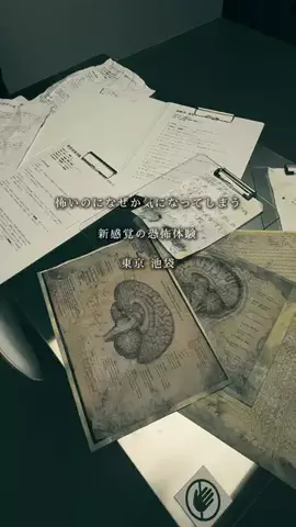 フォーユー｜東京発 ▷イベント・お出かけ・旅行のTikTok投稿