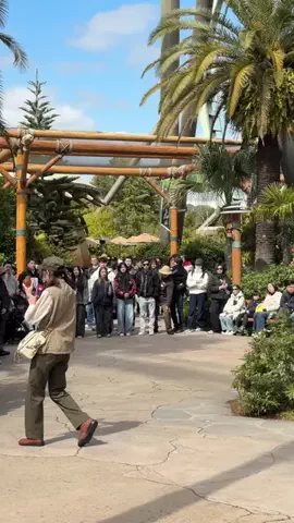 Haru's ParkのTikTok投稿