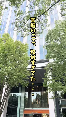 宮城情報局【イベント|トレンド|グルメ】のTikTok投稿