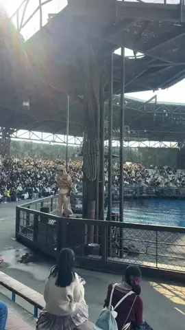 Haru's ParkのTikTok投稿