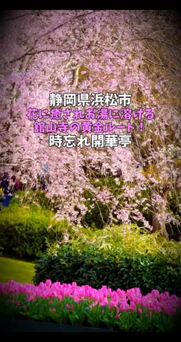 ポロ_身近なお出かけスポット紹介のTikTok投稿