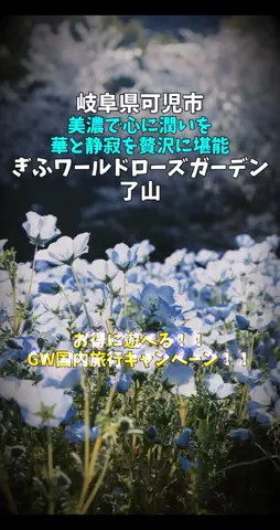 ポロ_身近なお出かけスポット紹介のTikTok投稿