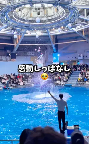 のりママのTikTok投稿