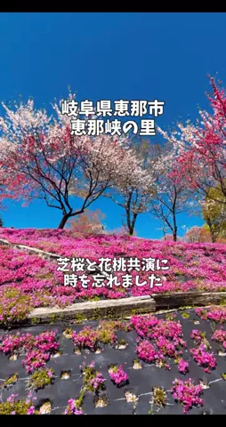 ポロ_身近なお出かけスポット紹介のTikTok投稿