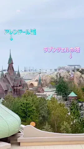 のりママのTikTok投稿