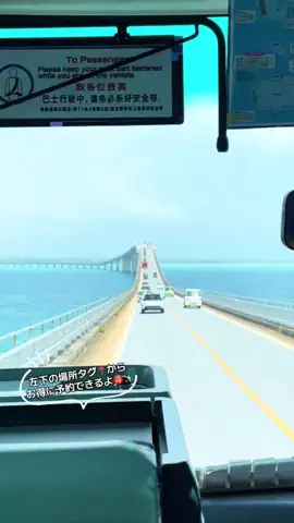 ASUKA_旅のガイドブックのTikTok投稿