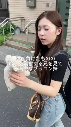 ブラコン妹が尊いのTikTok投稿