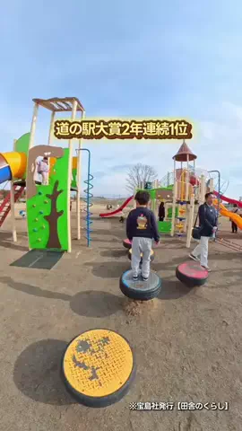 りゅうたびのTikTok投稿